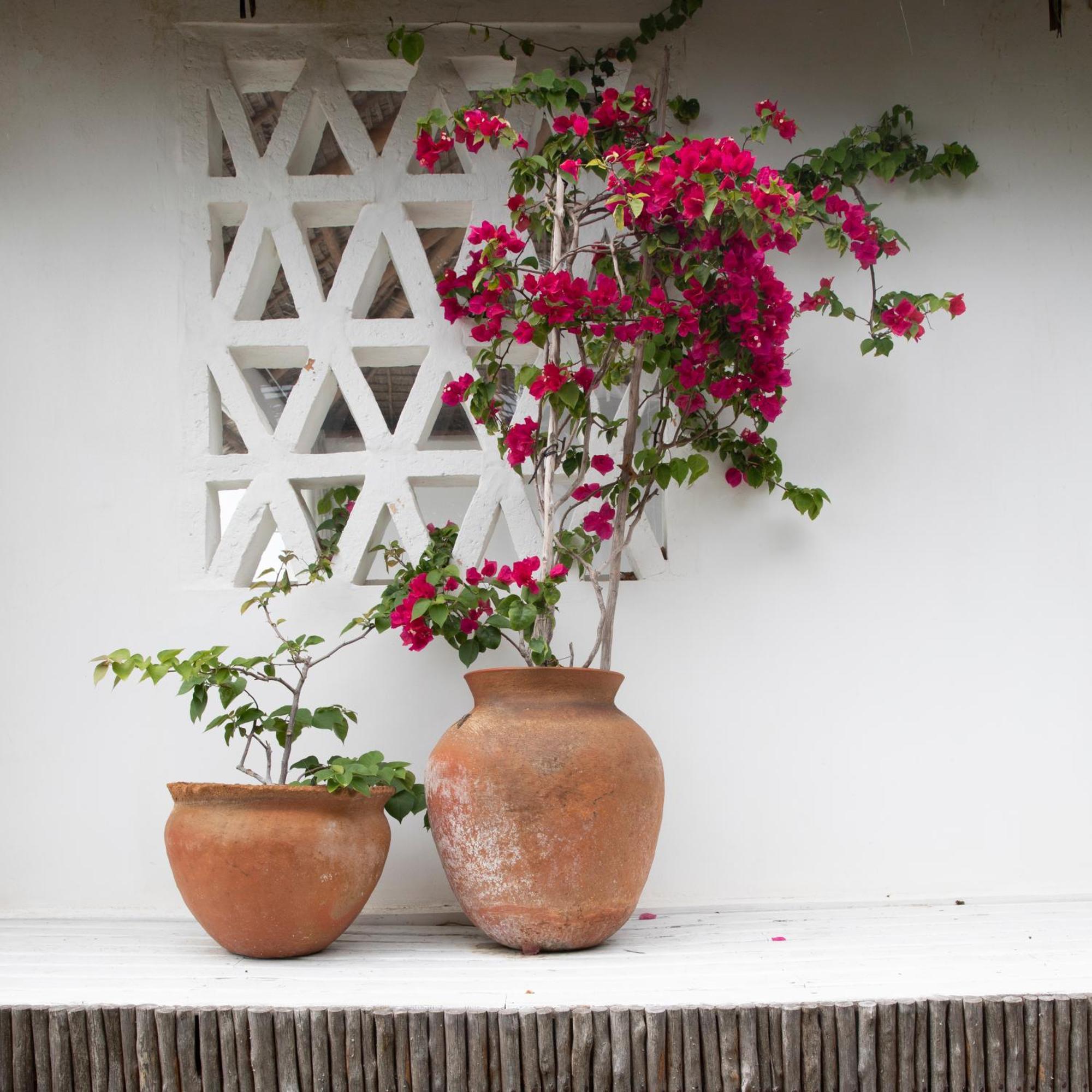 Mar-Me-Quer, Eco Beach Retreat Инямбане Екстериор снимка
